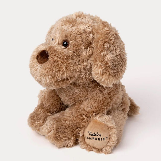 瑞典 Teddykompaniet Selma黃金幼犬