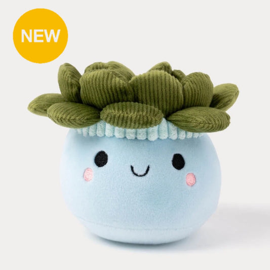 瑞典 Teddykompaniet 多肉盆栽