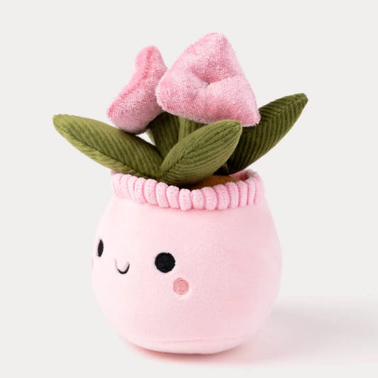 瑞典 Teddykompaniet 鬱金香盆栽